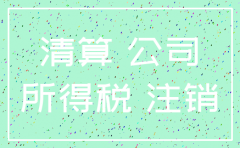 公司注销 处置资产需缴纳什么税