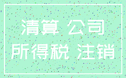 清算 公司_所得税 注销