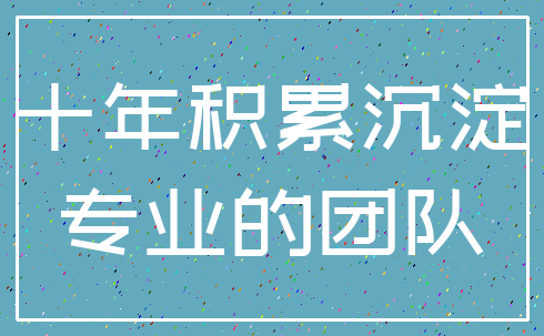 十年积累沉淀_专业的团队