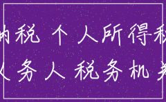 注销公司报当月个人所得税 如何写情况说明