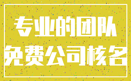 专业的团队_免费公司核名