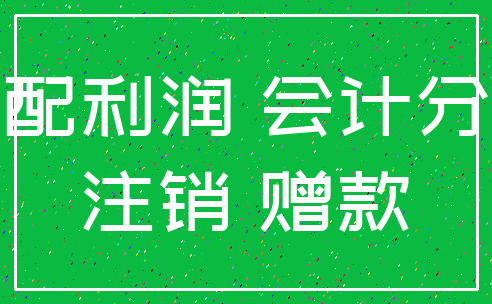 分配利润 会计分录_注销 赠款