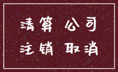 注销公司相关税费