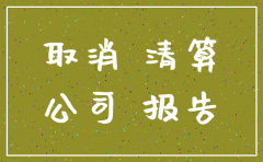 注销公司需要清算表是什么