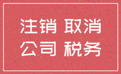 到税局办理注销公司