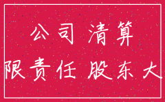 公司注销声明自然人独资