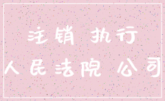 公司被执行期间能注销公司吗