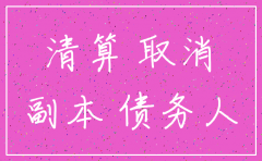 公司注销的企业所得税报表