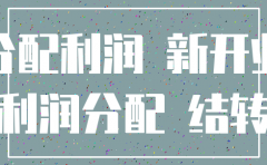 刚开业注销公司未分配利润是零