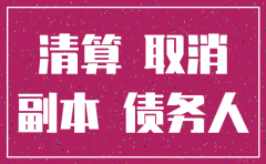 公司注销的企业所得税报表
