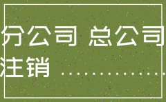 总公司老板坐牢分公司咋注销