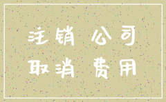 儋州市代理注销公司
