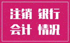 公司账户注销查询流水