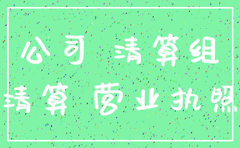 公司 清算组_清算 营业执照
