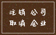 什么公司可以采用简易注销