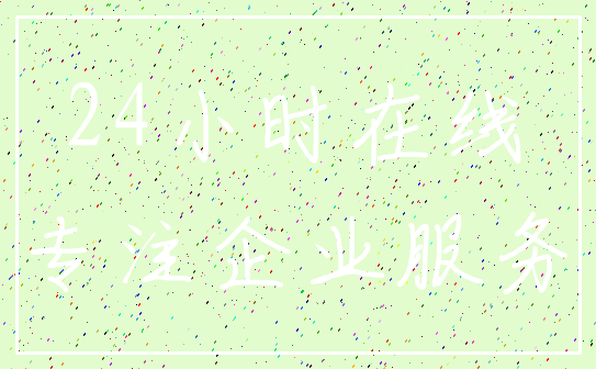 24小时在线_专注企业服务