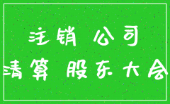 私营分公司注销股东会决议范本