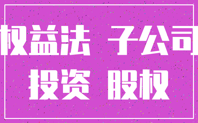 权益法 子公司_投资 股权