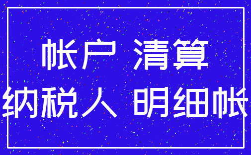 帐户 清算_纳税人 明细帐