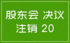 公司注销 出资人决议