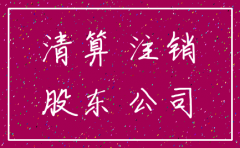 工商局对注销公司的决议
