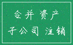 母子公司注销分录