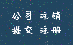 珠海简易注销公司注销清算报告
