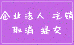 注销公司在工商局需要填什么东西