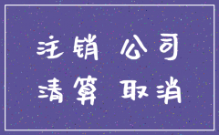 分公司注销登记相关材料