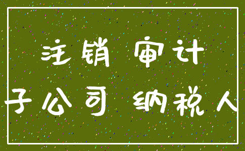 注销 审计_子公司 纳税人