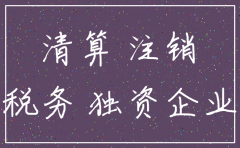 个人独资的有限公司注销 如何起诉