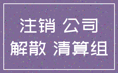 注销 公司_解散 清算组