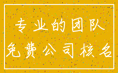 专业的团队_免费公司核名