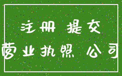 注册 提交_营业执照 公司