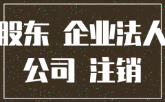 公司注销后股东是否可以做原告
