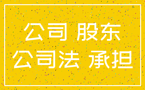 公司 股东_公司法 承担