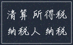 注销公司清算所得税申请表
