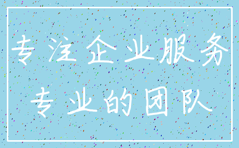 专注企业服务_专业的团队