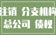 分公司注销处罚谁