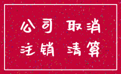 注销公司让别人去做都注意什么事情
