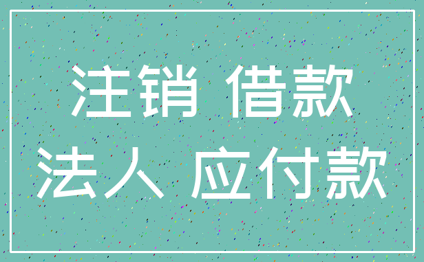 注销 借款_法人 应付款