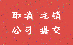 公司简易注销 2019