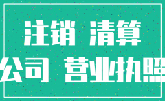 武汉注销金融公司难吗