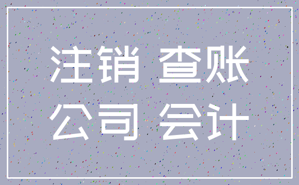 注销 查账_公司 会计