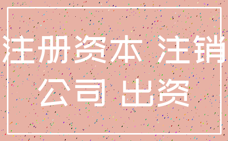 注册资本 注销_公司 出资