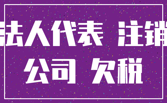 法人代表 注销_公司 欠税