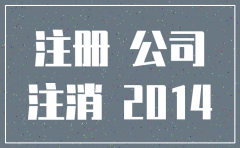 青县正规专业注册注销公司