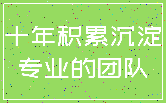 十年积累沉淀_专业的团队