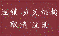 总公司针对分公司的注销情况说明