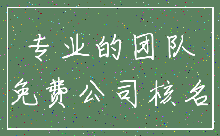 专业的团队_免费公司核名